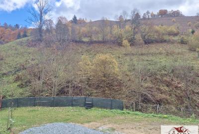 Casa de vanzare in Bistra -1700 mp teren - 9