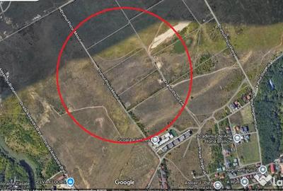 Teren de 19000 mp, în Băneasa - 1
