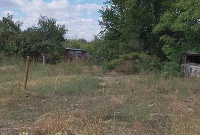 Casă cu 4 camere în Izvoru (Gogoșari) - 7