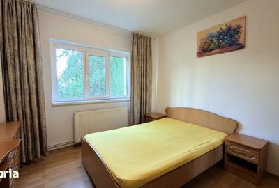 Apartament cu 2 camere decomandat, mobilat în Craiovei - 4