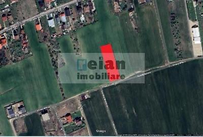 Snagov Ghermanesti - Teren 1637 Mp, Deschidere 19 M, Toate Utilitatile - 9