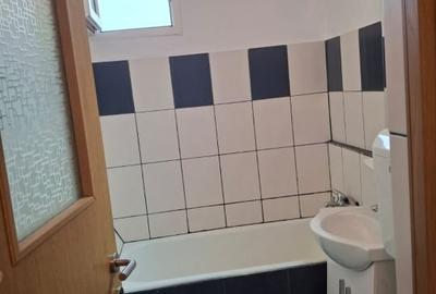 APARTAMENT 2 CAMERE - RENOVAT - METROU BRANCUSI - DRUMUL TABEREI - 10