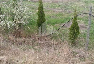 Teren intravilan  ,1020 mp, Sibiu, Daia Noua - 5