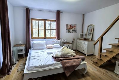 Casă individuală cu 5 camere cu Teren 4825 Mp în Est - 11