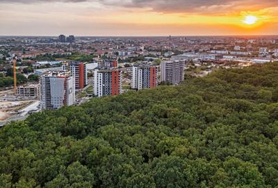 Apartament cu 3 camere decomandat, mobilat în Lipovei - 13