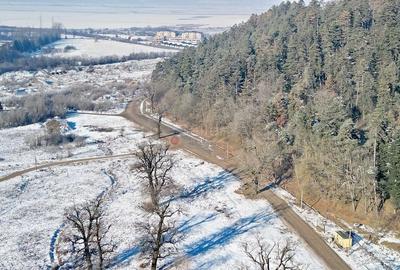 Teren intravilan - 31