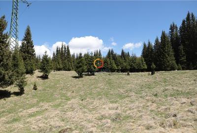 Terenuri speciale Padina Busteni - 9