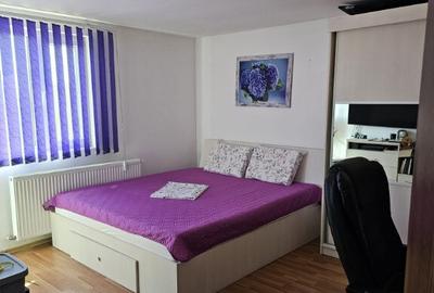 Casa complet mobilata/utilata Dragomiresti Deal, Ilfov - 6
