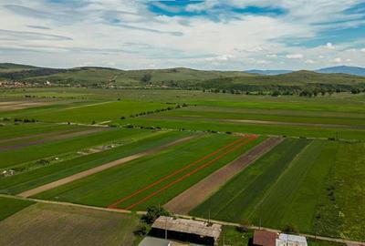 Teren extravilan de 5000 mp, în Bod - 6