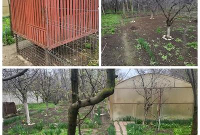 Casă cu 6 camere cu Teren 900 Mp în Roșiori de Vede - 8