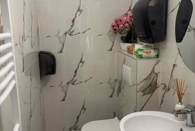 Vila de inchiriere, 6 camere // Zona Tei - 15