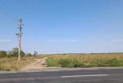 Terenuri Intravilane Industriale - 50 E mp - Sos. Oltenitei DN 4 / Autostrada A0 - 5