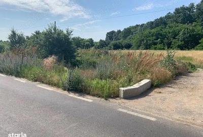 Proprietar vand teren langa Domnesti la Bucsani la padure - 2