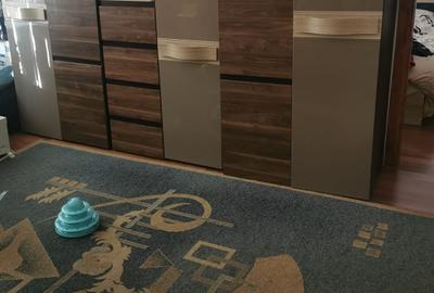 Apartament cu 2 camere nedecomandat în Girocului - 2
