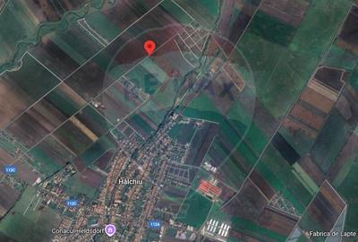 Teren agricol extravilan de 30000 mp, în Hălchiu - 5