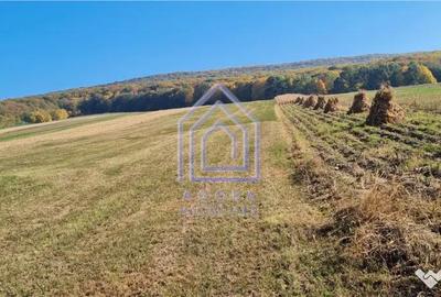 Teren de 3600 mp, în Dolhasca - 2