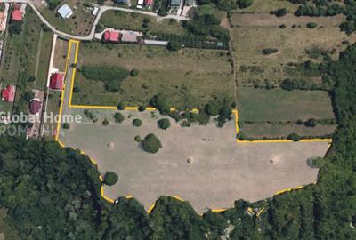 Teren de 23345 mp, în Cornu - 7