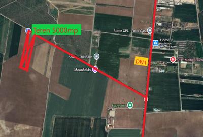 Teren agricol intravilan de 5000 mp, în Snagov - 1