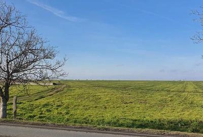 Teren de 25000 mp, în Agigea - 2