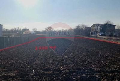 Teren Intravilan generos de 2000mp in Magurele - 3