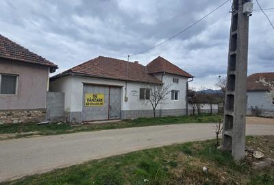 Casă individuală cu 5 camere cu Teren 3097 Mp în Șuștiu - 1