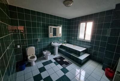 Ovidiu-vila D+P+1+M libera aproape de lac - 27