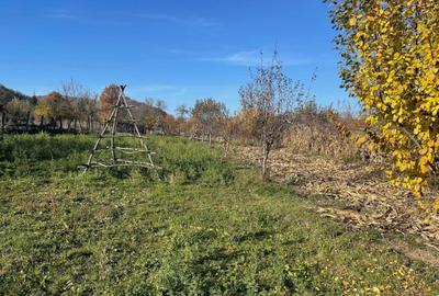 Spațiu comercial, în Mușătești - 5