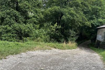 VAND TEREN PENTRU CONSTRUCTII, COM.CETATENI - ARGES - 2