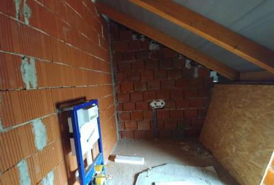 Casă individuală cu 5 camere cu Teren 4316 Mp în Petreu - 3