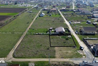 Spațiu comercial, în Mândruloc - 4