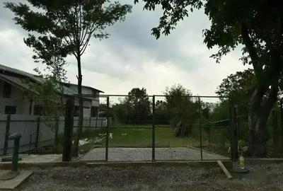 Teren de 1000 mp, în Dărmănești - 2