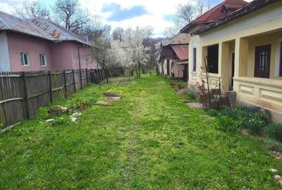 Casă individuală cu 4 camere cu Teren 2600 Mp în Hulubești - 6