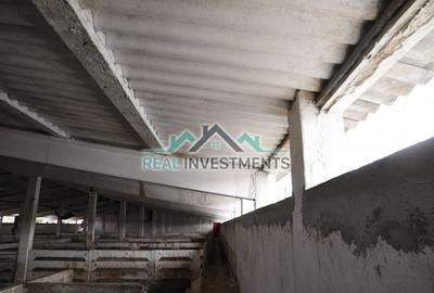 Spațiu comercial, de 20,000 mp, în Semlac - 5