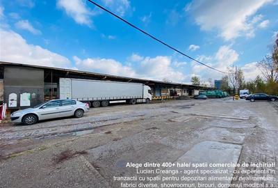 Spațiu industrial, de 5,000 mp, în Metalurgie - 1