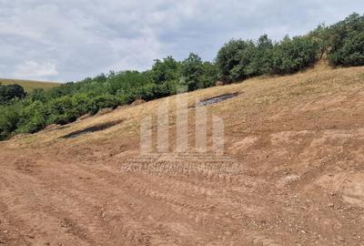 Teren Construcții intravilan de 2000 mp, în Șard - 4