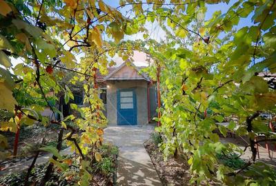 Casa cu 2 camere de vanzare in zona Iosia Strada Artarilor - 10