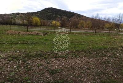 Teren Construcții intravilan de 1000 mp, în Viișoara - 2