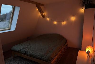 Casă cu 2 camere cu Teren 2500 Mp în Ojdula - 8