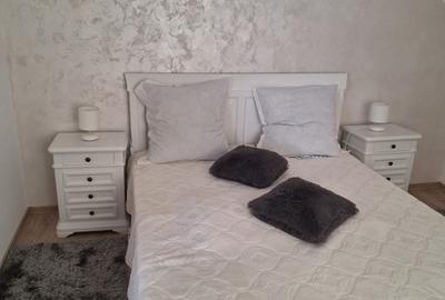 Casă individuală cu 6 camere cu Teren 7200 Mp în Central - 8