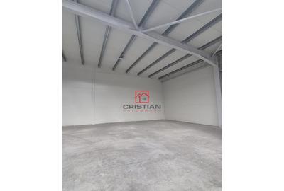 Depozit/hala/spatiu industrial Chiajna - Chitila - Rudeni - 21