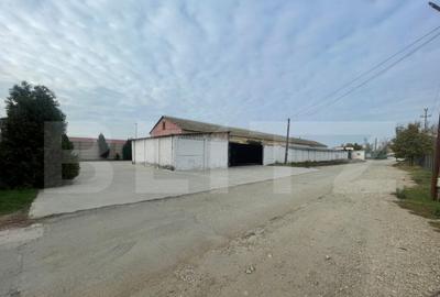 Spațiu comercial, de 571 mp, în Sântandrei - 8