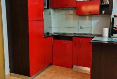 Apartament cu 2 camere decomandat, mobilat în Sat Vacanță - 9
