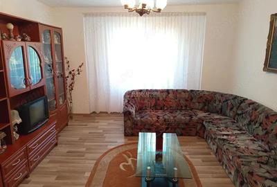 Casă cu Teren 1803 Mp în Anina - 2