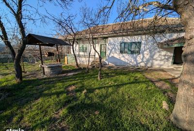 Spațiu comercial, în Cerna - 4