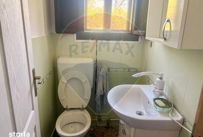 Casă cu 3 camere cu Teren 6039 Mp în Desești - 10