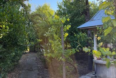 Casă cu 6 camere nedecomandat cu Teren 1600 Mp în Greci - 11