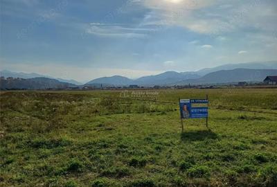 Teren de 10000 mp, în Tălmaciu - 2