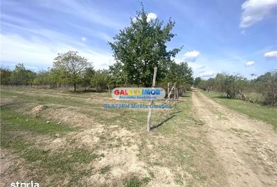 Teren de 2800 mp, în Central - 3