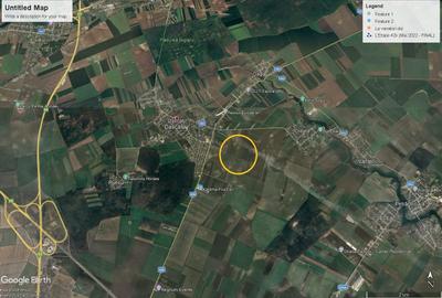 Teren Construcții intravilan de 18000 mp, în Dascălu - 2