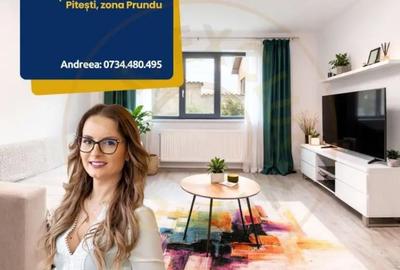 Apartament cu 2 camere semidecomandat, mobilat în Prundu - 11